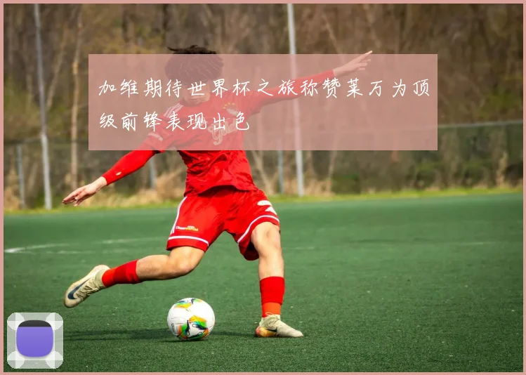 加维期待世界杯之旅称赞莱万为顶级前锋表现出色