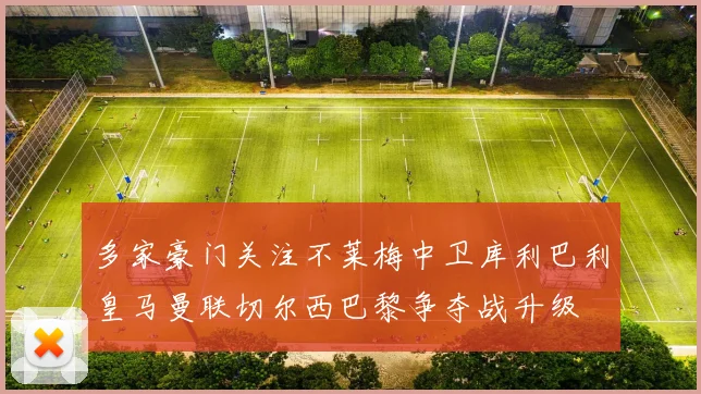 多家豪门关注不莱梅中卫库利巴利皇马曼联切尔西巴黎争夺战升级