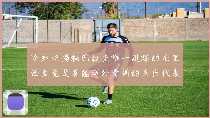冷知识揭秘巴拉圭唯一进球的毛里西奥竟是鲁能海外青训的杰出代表